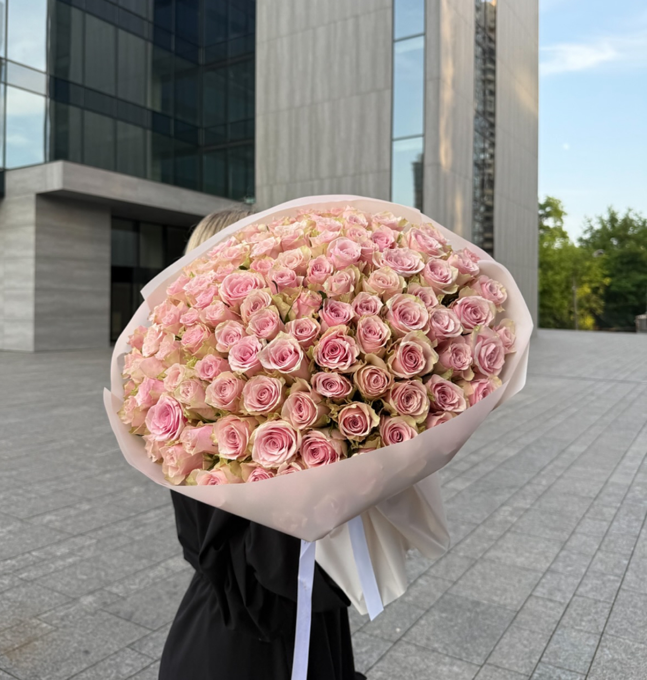 150 Powder Pink Roses