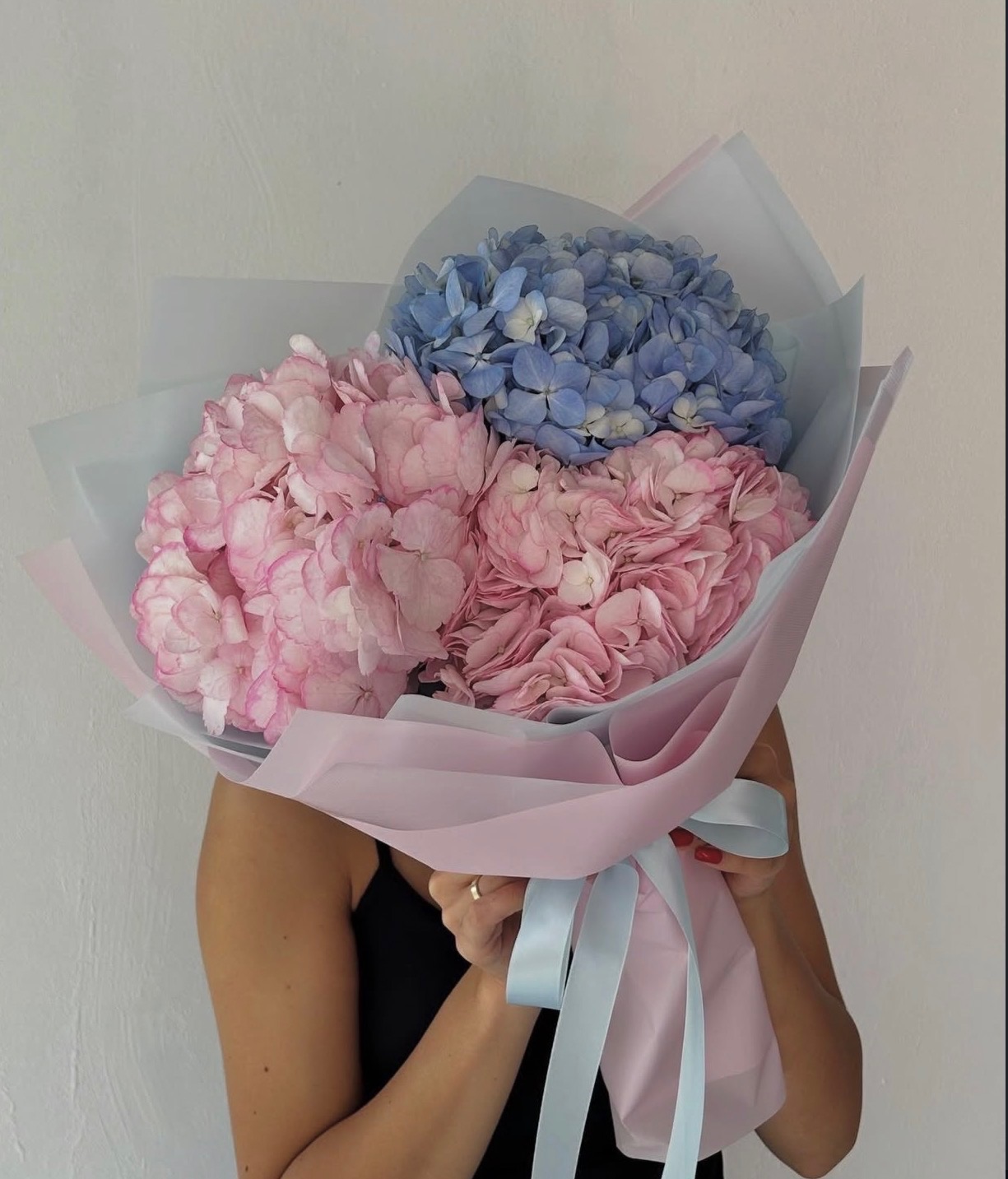 Small Blue and Pink Hydrangeas